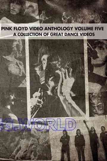 Pink Floyd: Video Anthology Vol. 5