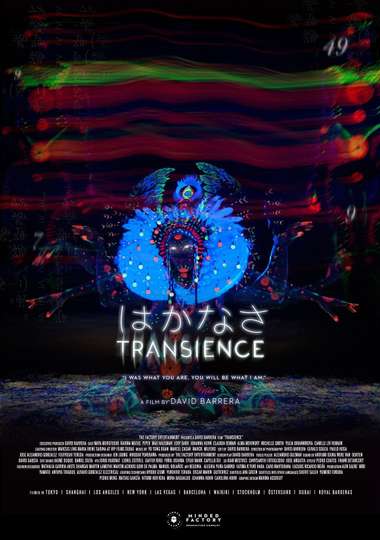 Transience Poster