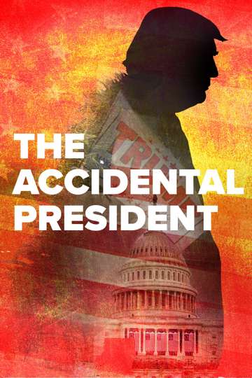 The Accidental President Poster