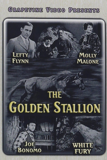 The Golden Stallion