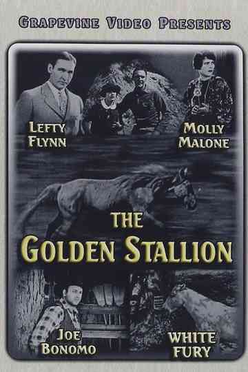 The Golden Stallion Poster