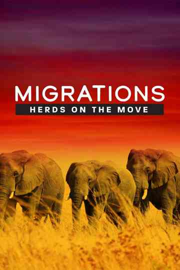 Migrations Herds on the Move poster