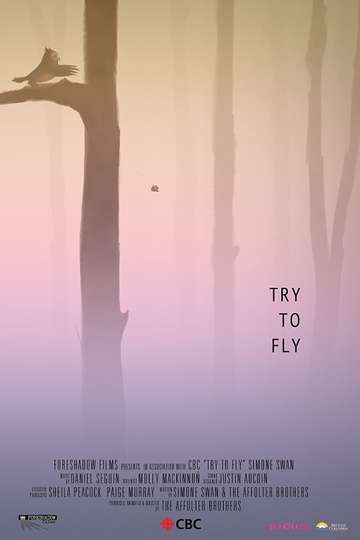 Try to Fly Poster