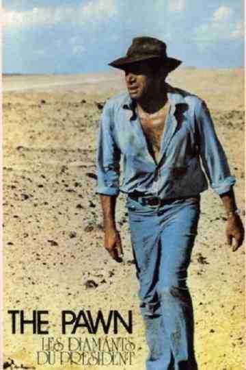 Les Diamants du Président Poster