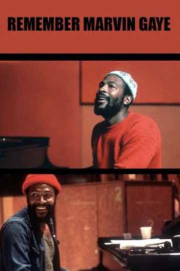 Remember Marvin Gaye