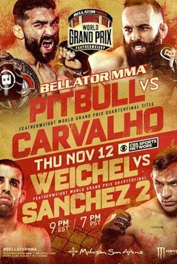 Bellator 252 Pitbull vs Carvalho Poster