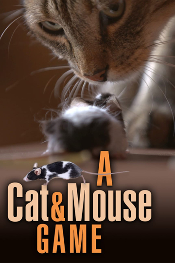 A Cat and Mouse Game Poster