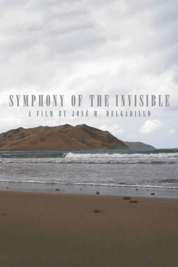 Symphony Of The Invisible Poster