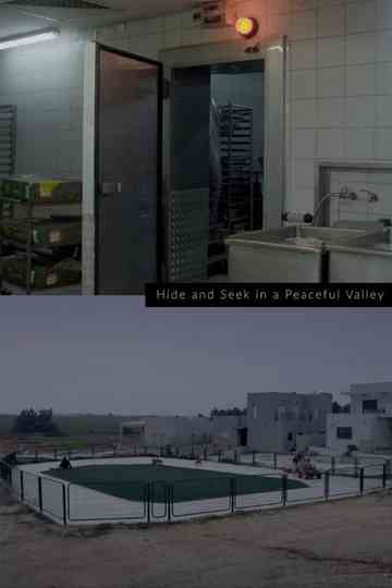 Hide and Seek in a Peaceful Valley Poster