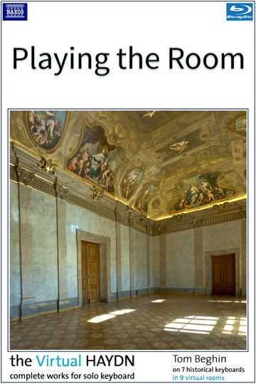 Playing the Room Poster