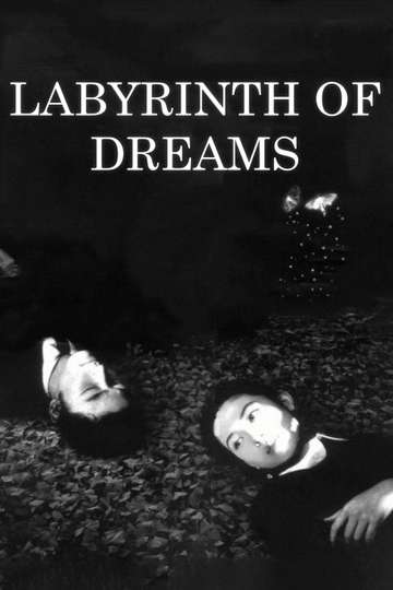 Labyrinth of Dreams Poster