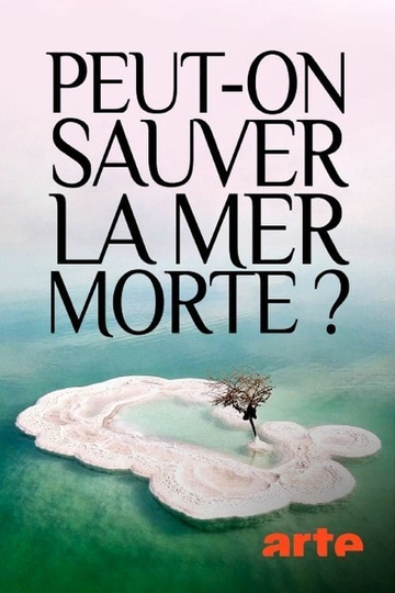 Peut-on sauver la mer Morte ?