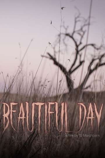 Beautiful Day Poster