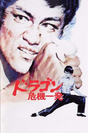 Bruce Lee - O Dragão Chines Poster