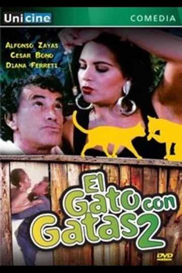 El gato con gatas II