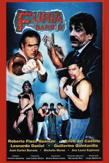 Furia de barrio poster