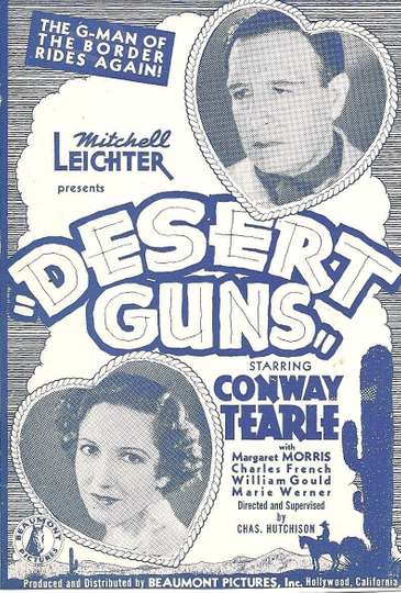 Desert Guns Poster