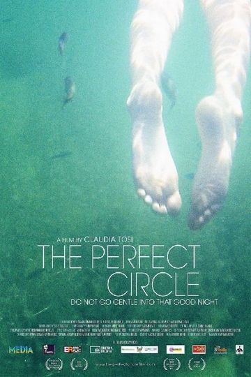 The Perfect Circle Poster