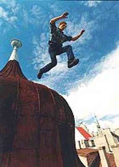 Roof Man