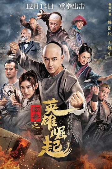 The Rise of Nanquan Fist Poster