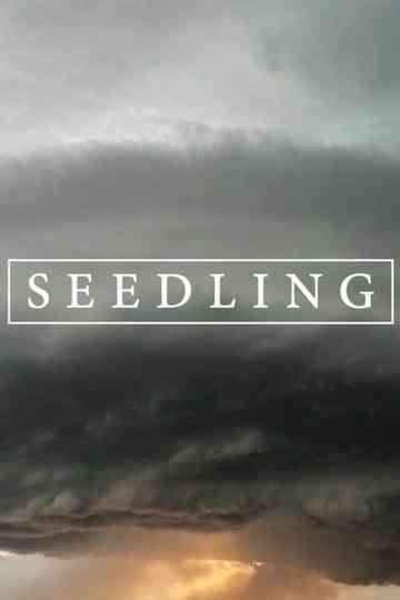 Seedling