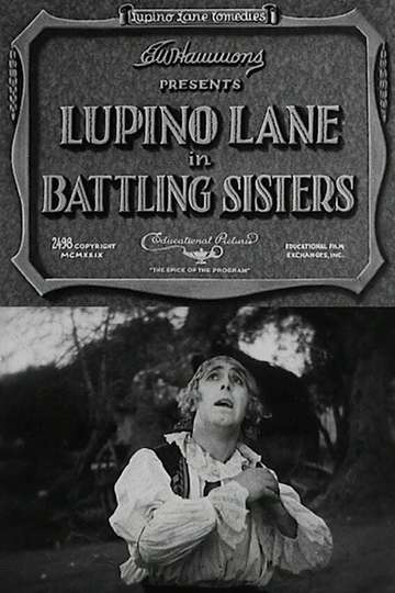 Battling Sisters Poster