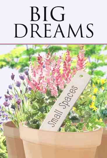 Big Dreams Small Spaces
