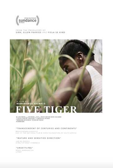 Five Tiger