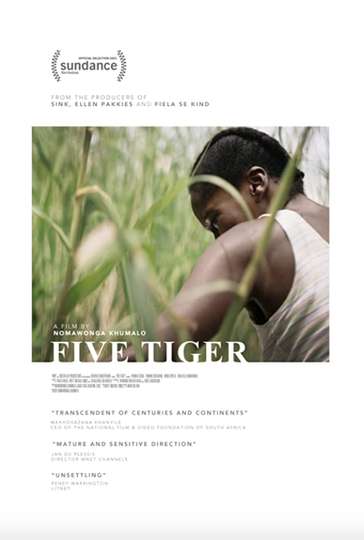 Five Tiger Poster