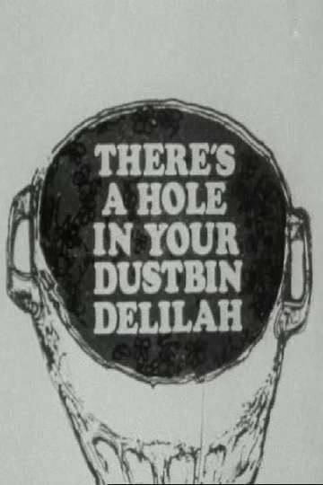 Theres a Hole in Your Dustbin Delilah Poster