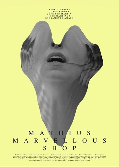 Mathius Marvellous Shop Poster