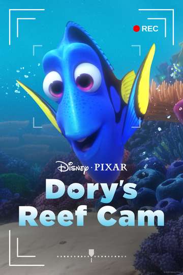 Dorys Reef Cam
