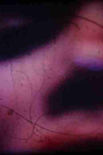 Errances Poster