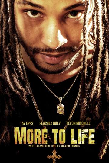 More to Life Poster