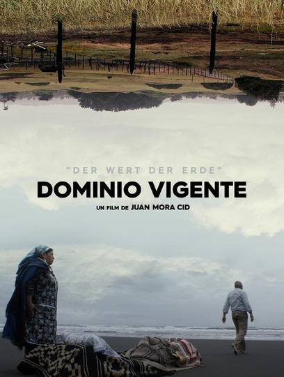 Dominio Vigente Poster