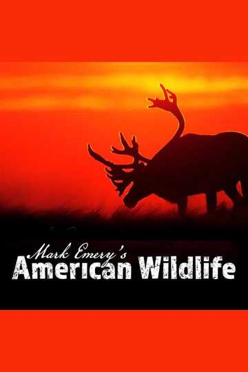 Mark Emery's American Wildlife