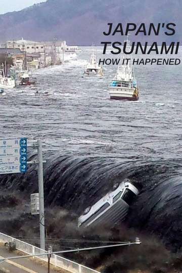 Japans Tsunami How It Happened
