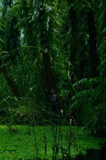 Mùa xuân vĩnh cửu Poster