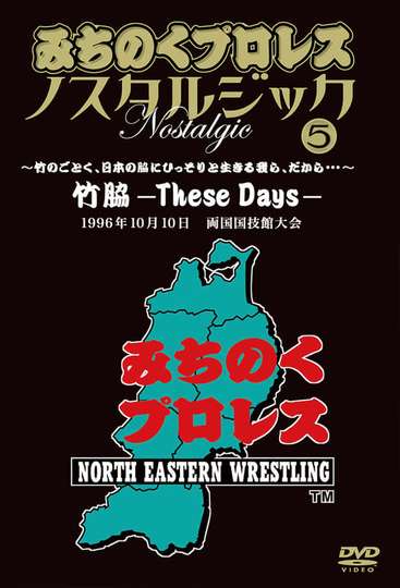 Michinoku Pro 3rd Anniversary These Days Poster