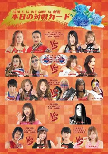 Sendai Girls Joshi Puroresu Big Show 2018 In Niigata Poster