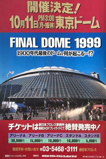 NJPW Final Dome Poster