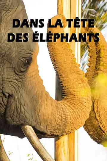 Mind of a Giant poster