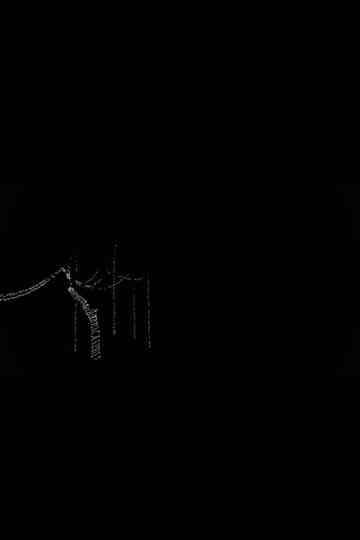 AS WAS THE SKY SO IS NOW THE TREES poster