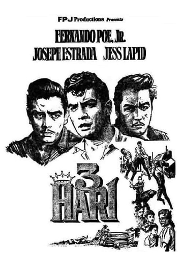 3 Hari