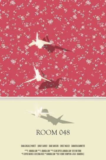 Room 048 Poster