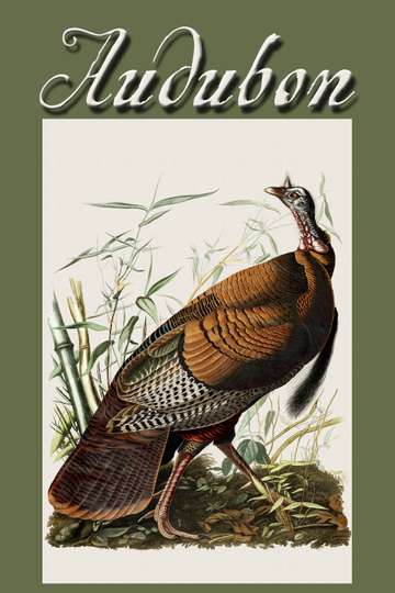 Audubon Poster