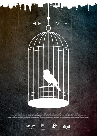 The Visit Poster