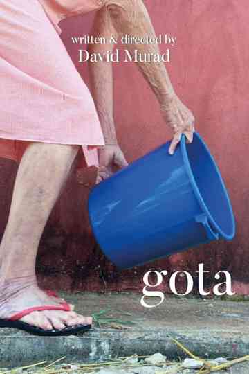 Gota poster
