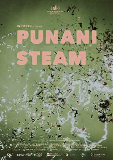 Punani Steam Poster