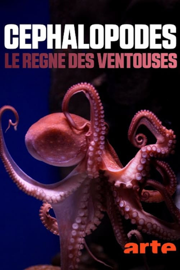 Cephalopods: The Reign of Suckers Poster